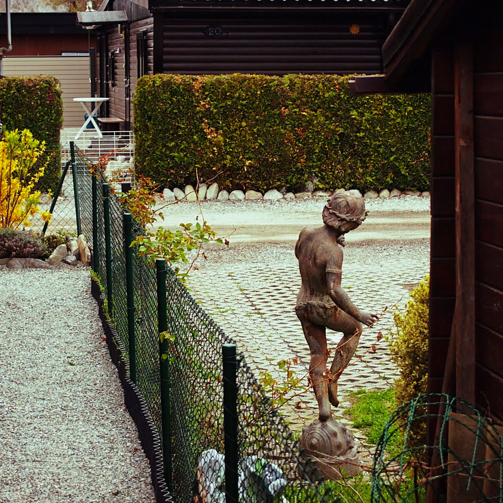 Sweet home story salquenen