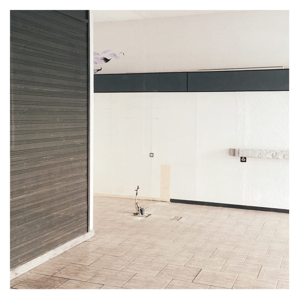 Snapshot.feed selection 2023